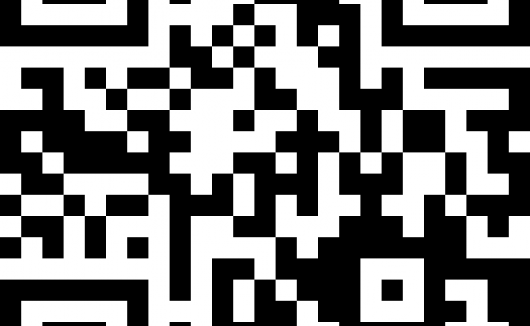 Membership Campaign QR Code